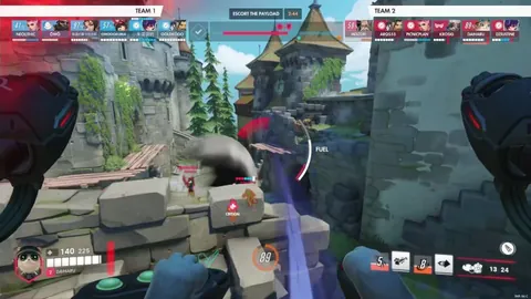 I can see why they will nerf the cat