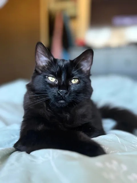 What would you name her?