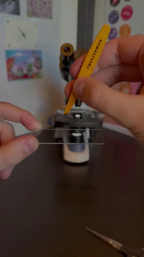 Microbe vs. Hair: See the Size Difference