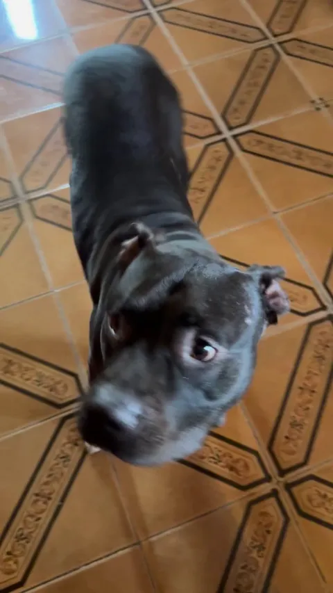 I introduce you to my nephew ♥️♥️