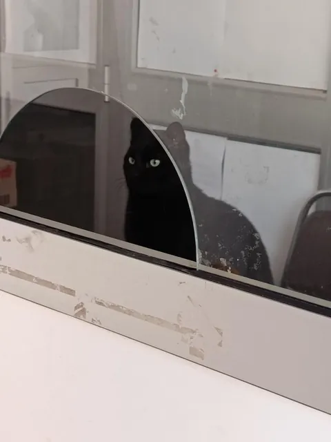 Employee of the month award goes tooo🥁🥁🥁