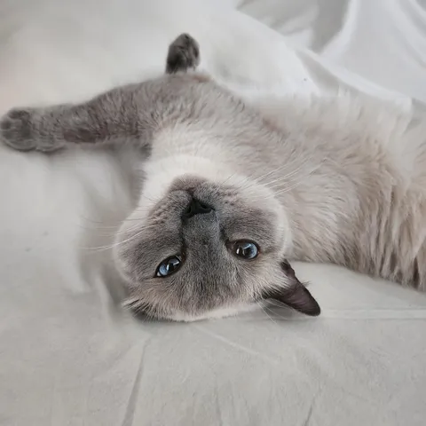 He knows he’s pretty!