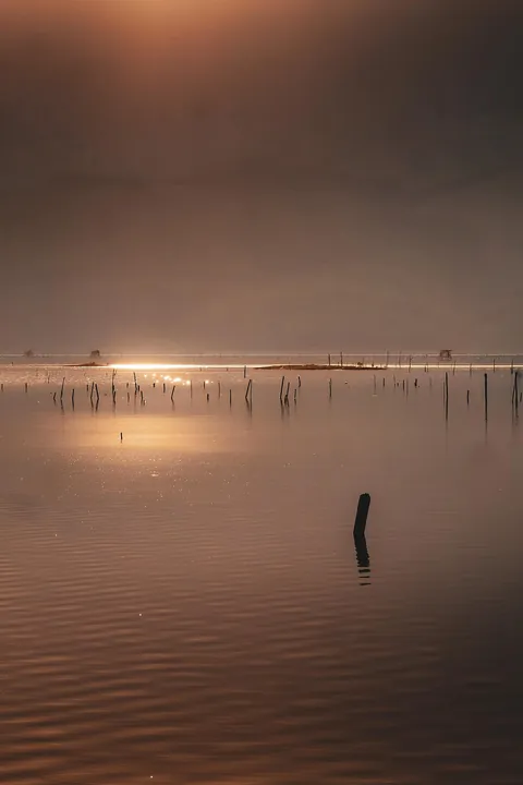 Vietnam February 2026