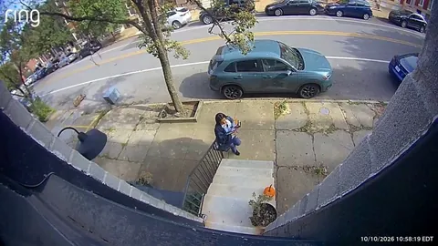Our mail carrier accidentally killed our pumpkin