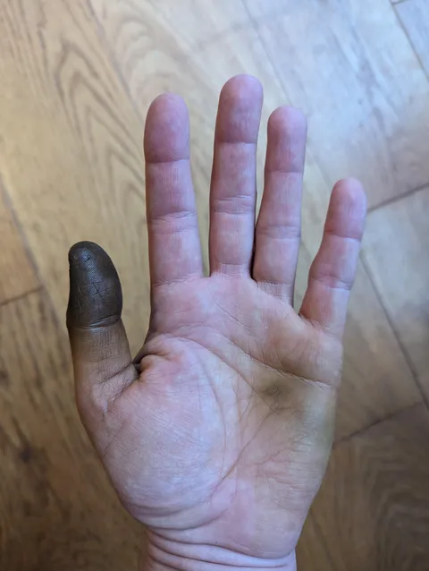 Gloves split while I was shelling black walnuts. TIL they were historically used to make ink and dye.