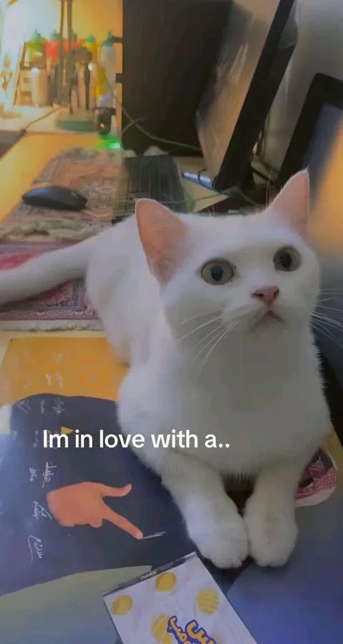 She's in love with a criminal.😛❤️