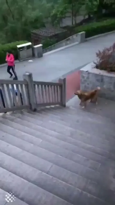 When love reach its limits