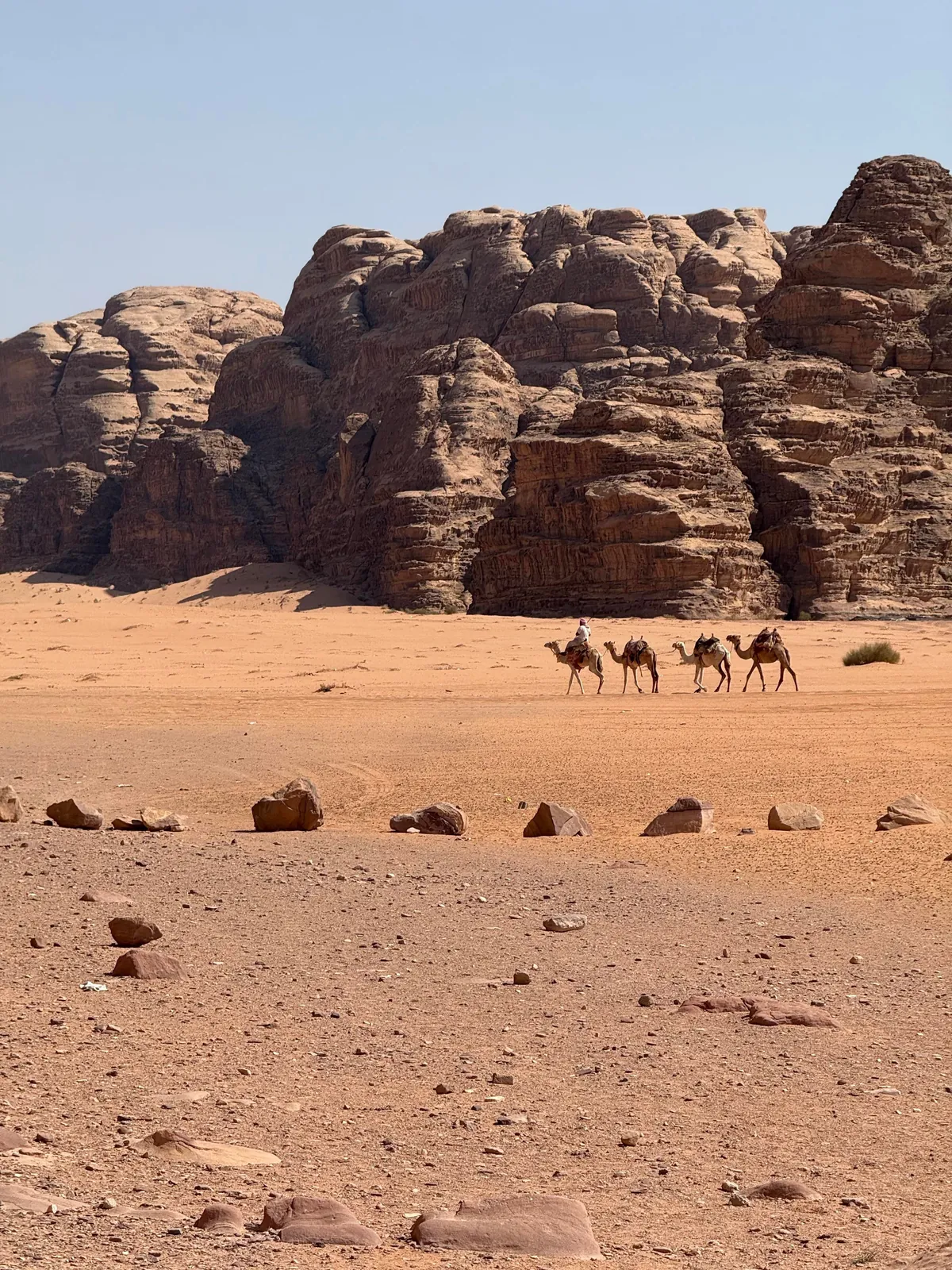 2 week in Jordan 🇯🇴