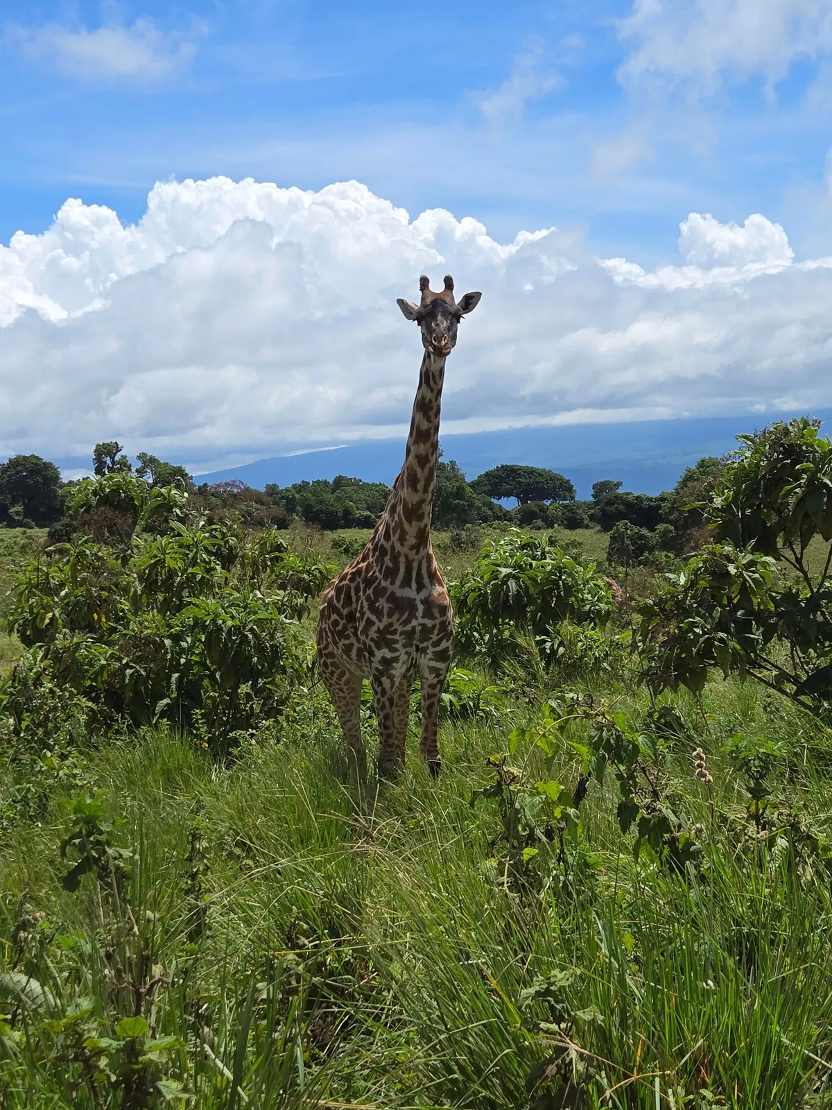 The Beauty of Tanzania