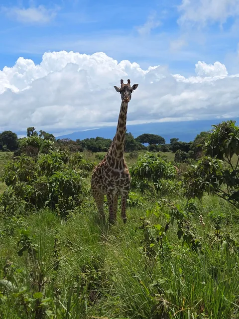 The Beauty of Tanzania