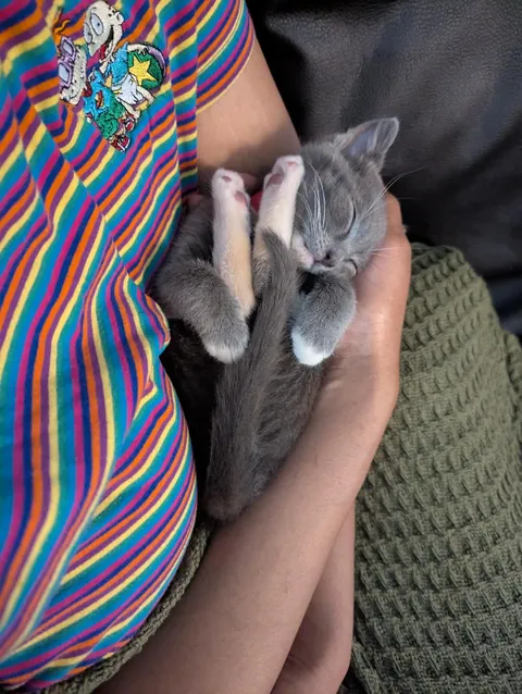 My derpy little sleeper