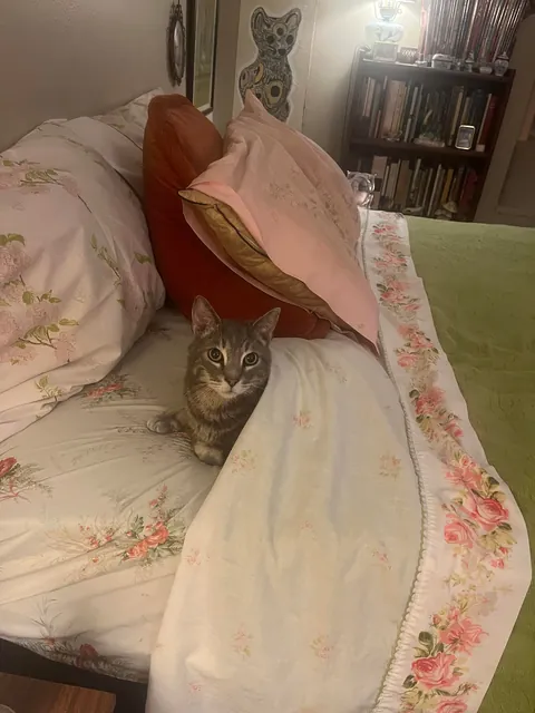 We are nearing the end and I’m not ready…..