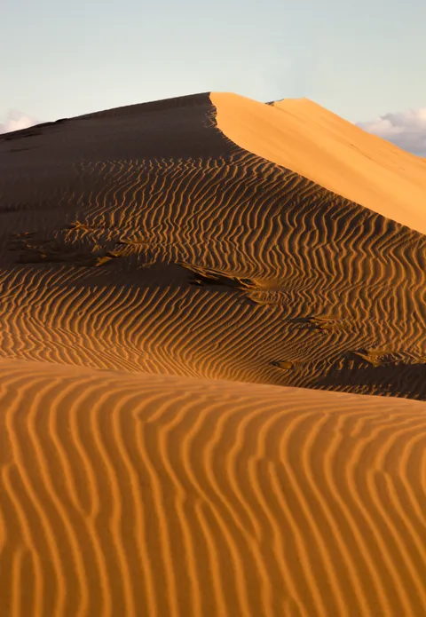 My attempt at photographing sand dunes