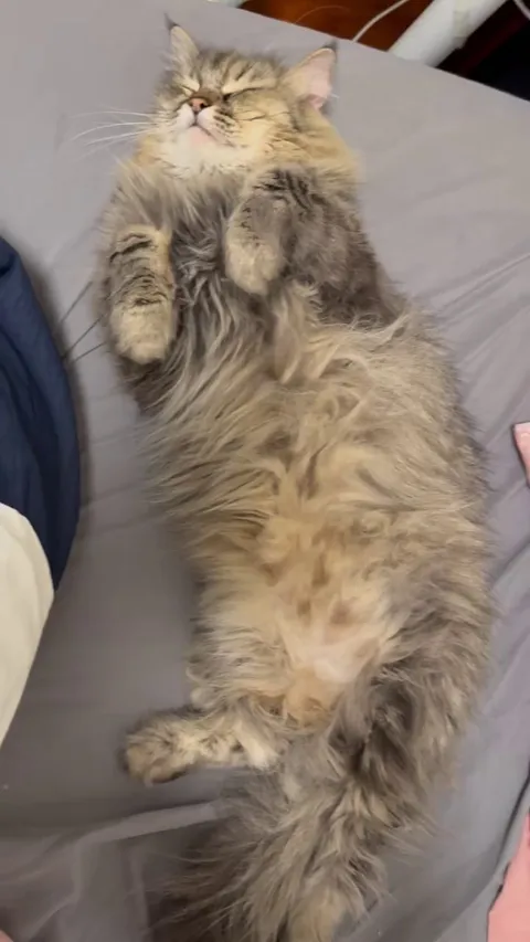 As expected of a family😆😆