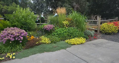 My driveway border this year.