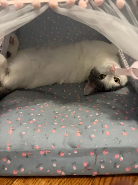 Currently unavailable—she’s in her tent. ⛺️