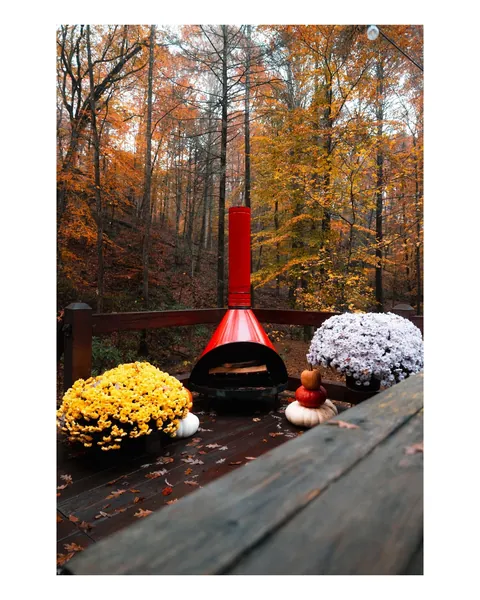 Blue Ridge is magical in the fall, shot this past weekend!