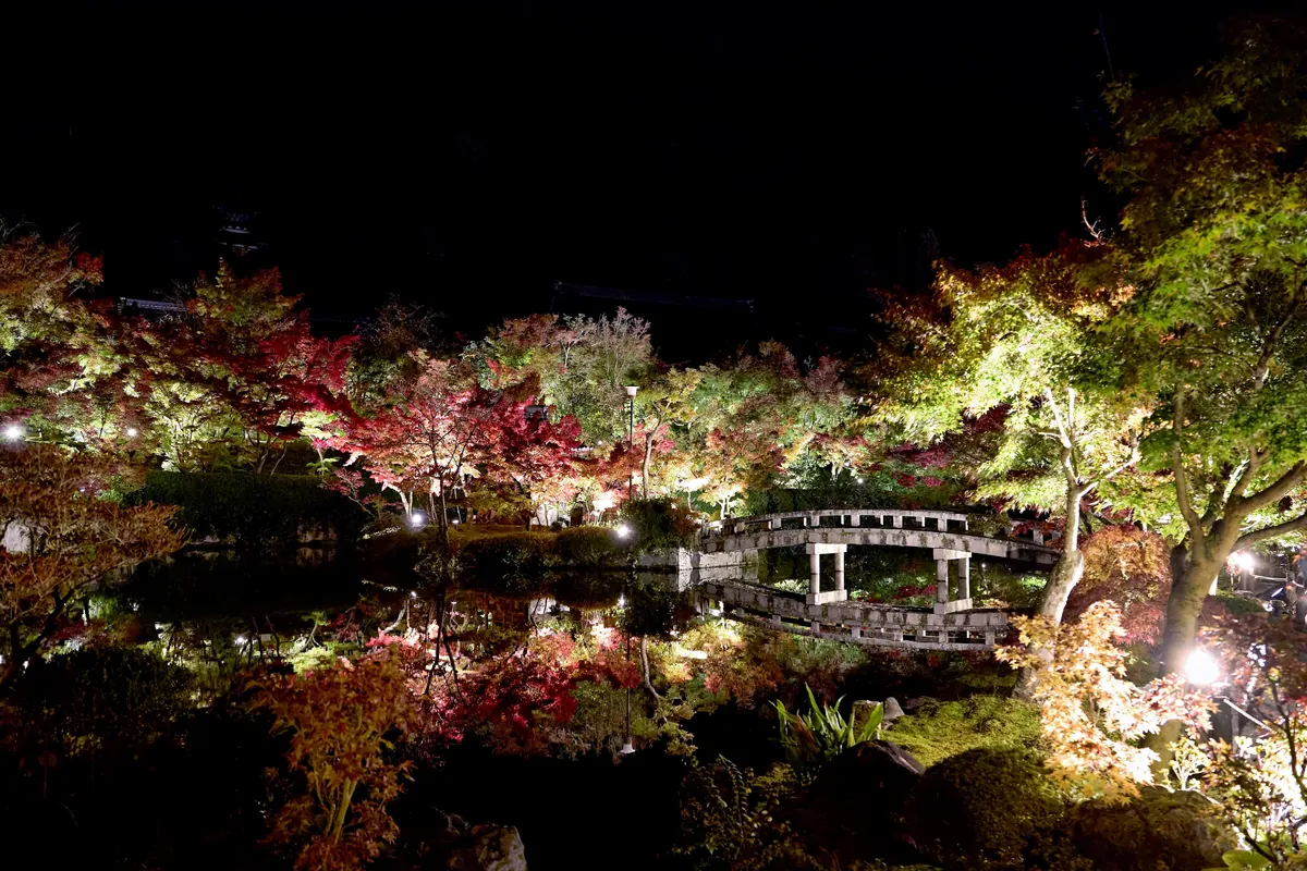Fall colors in Japan