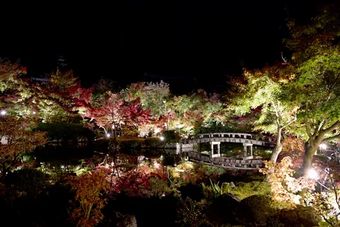 Fall colors in Japan