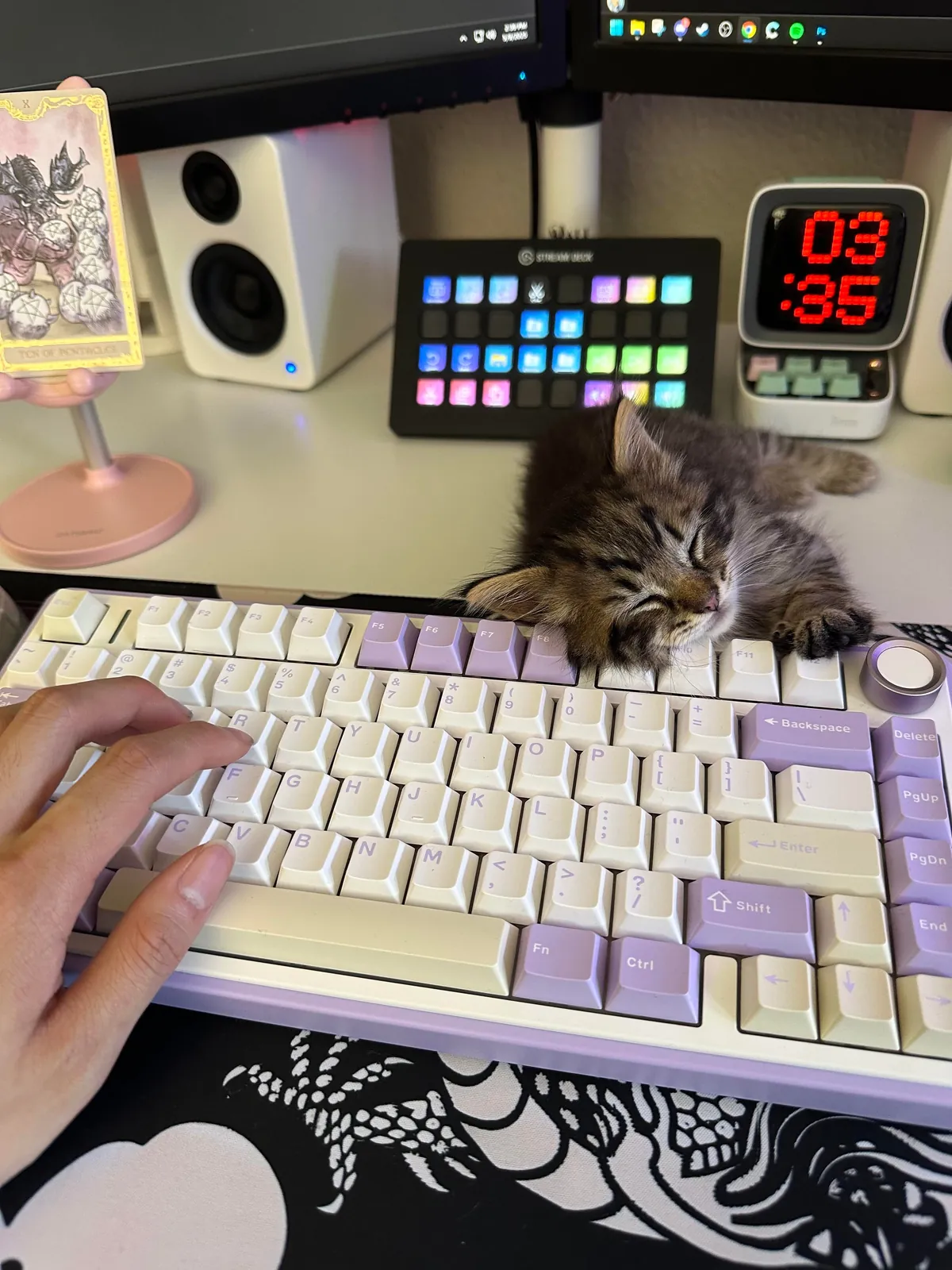 His name is Wilfred and he just stole my entire family’s hearts