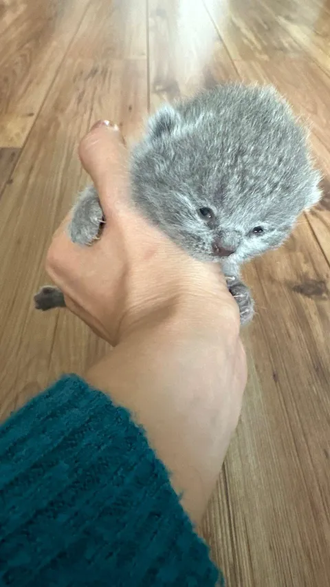 The first of six children has just begun to open their eyes