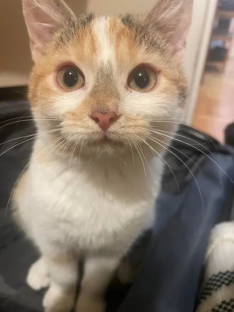 Name her after the last thing you drank