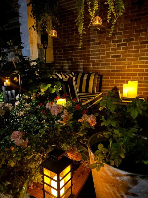 Our garden without a garden. (Repost) everything is in planters