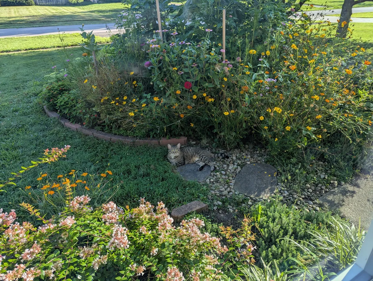 Just wanted to share some pics