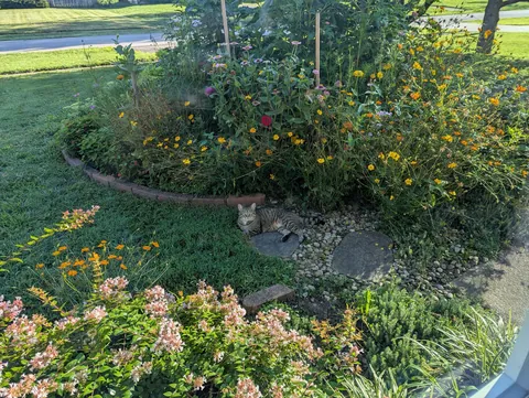 Just wanted to share some pics