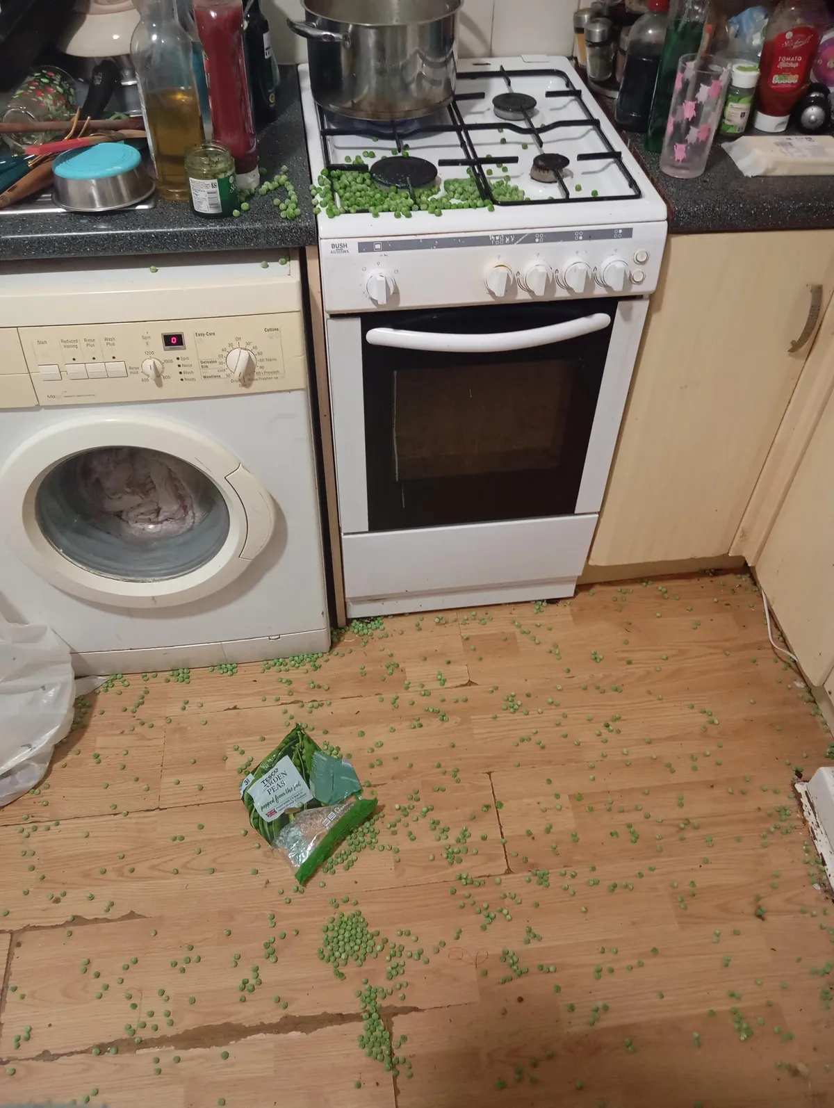 Brand new 1kg bag of peas split open. My kitchen now belongs to the peas. 