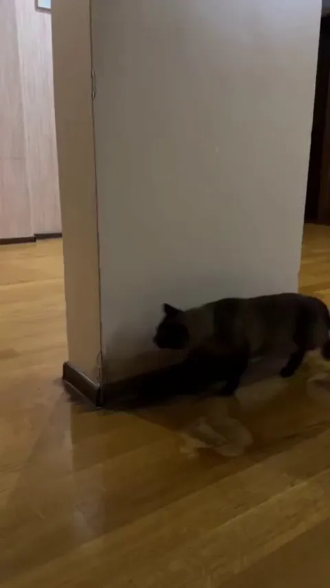 They're still catching each other.