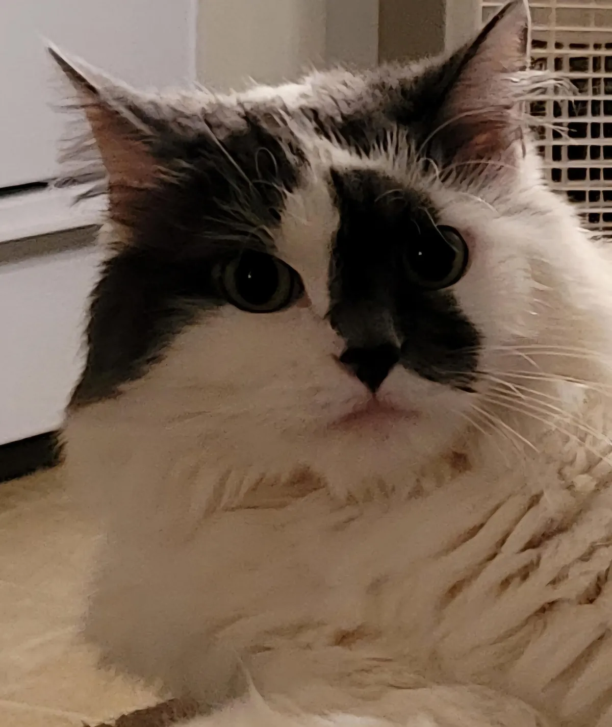 9 weeks and almost 9 years