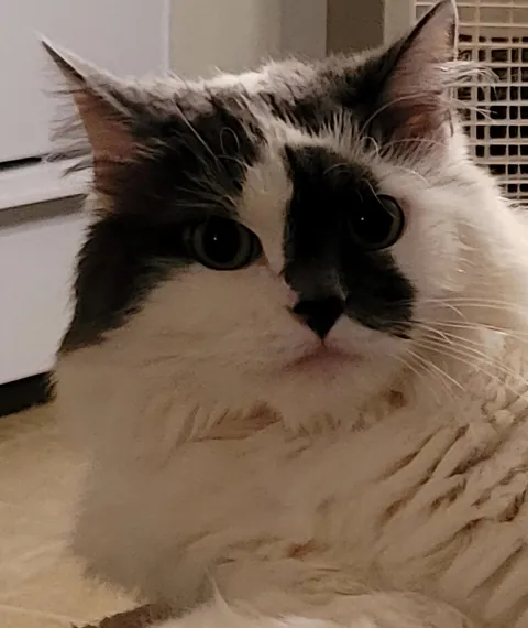 9 weeks and almost 9 years