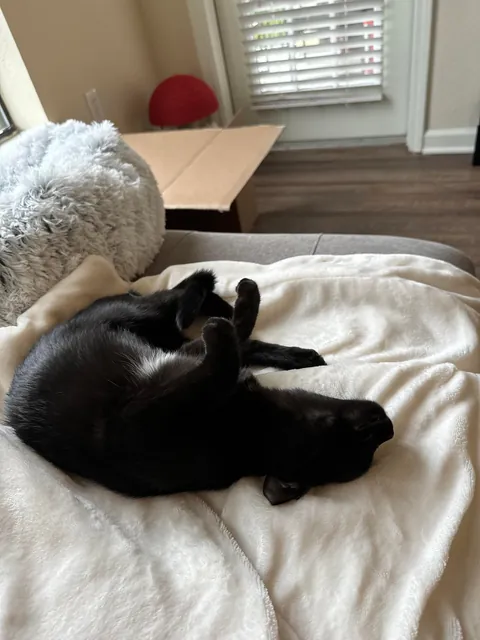 It’s my adopted baby’s first (estimated) birthday!