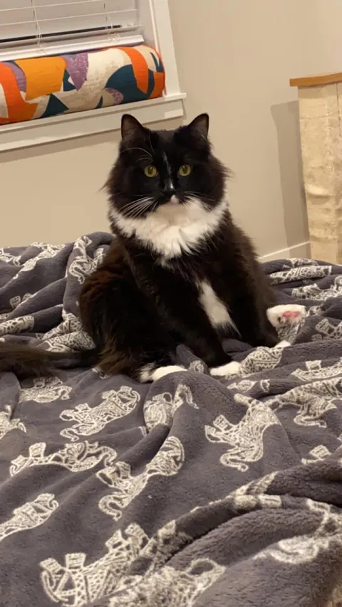 Had to say goodbye to my best friend