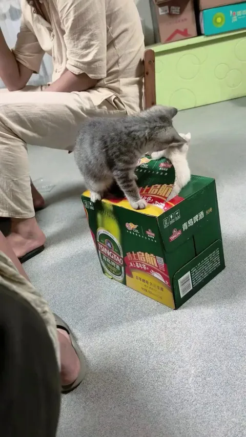 I would not let you go out