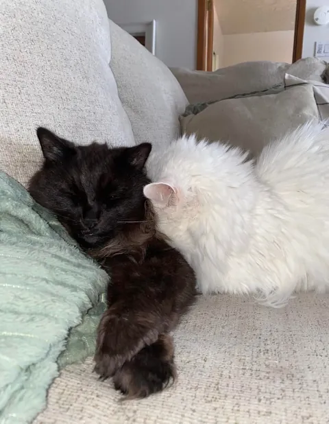 My Void with his Cloud 