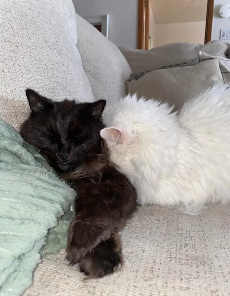 My Void with his Cloud 