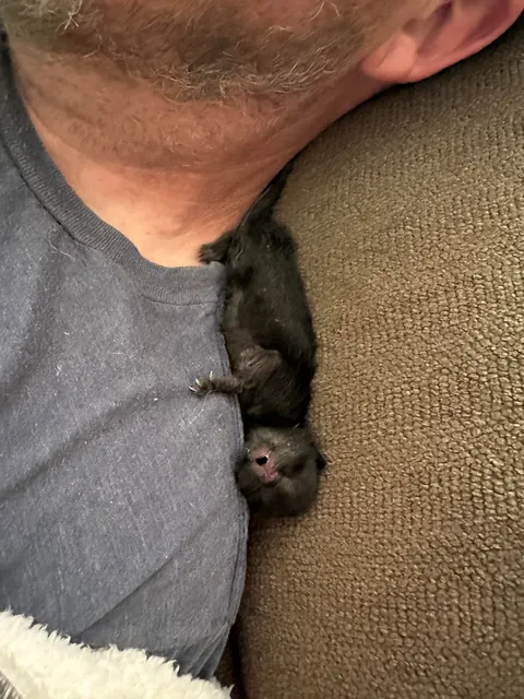 It was only a week to us, but it was their whole life.