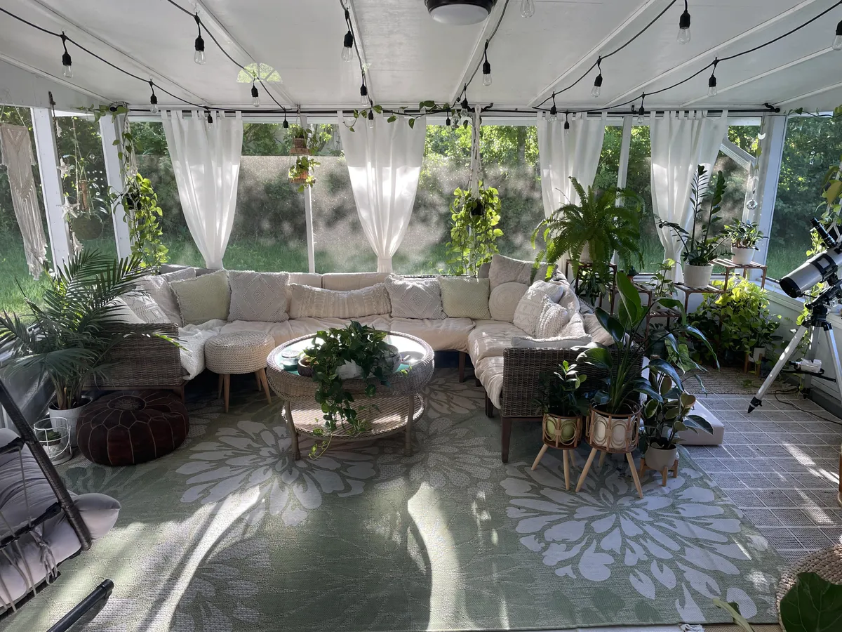 8am sunroom vibes 🪴☀️✨