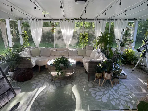 8am sunroom vibes 🪴☀️✨