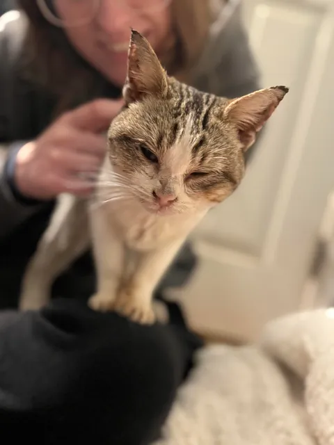 Found this girl shivering and unable to walk at a gas station 🥺