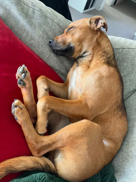 Hector through the years. Which is your favourite photo