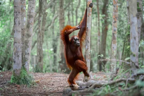 🔥 19 images from the Comedy Wildlife People's Choice Awards