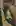 I command you to lick my toes until I finish peeing. Then you clean up.