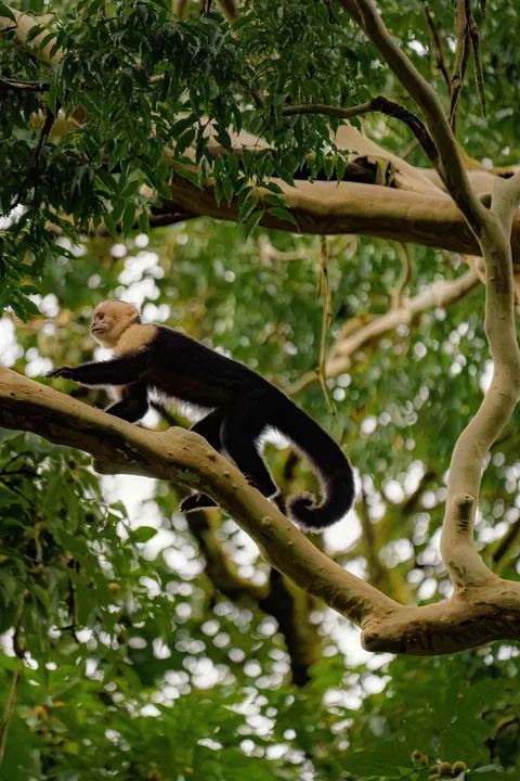 A little slice of pura Vida 📍 Costa Rica