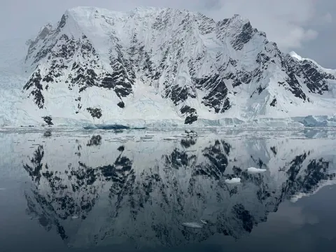 I just got back from Antarctica. It was life changing.