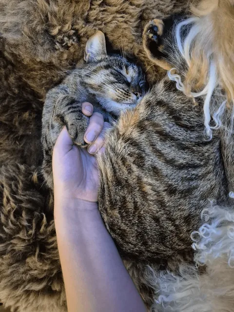 She wanted me to hold her hand while she was sleeping ❤️