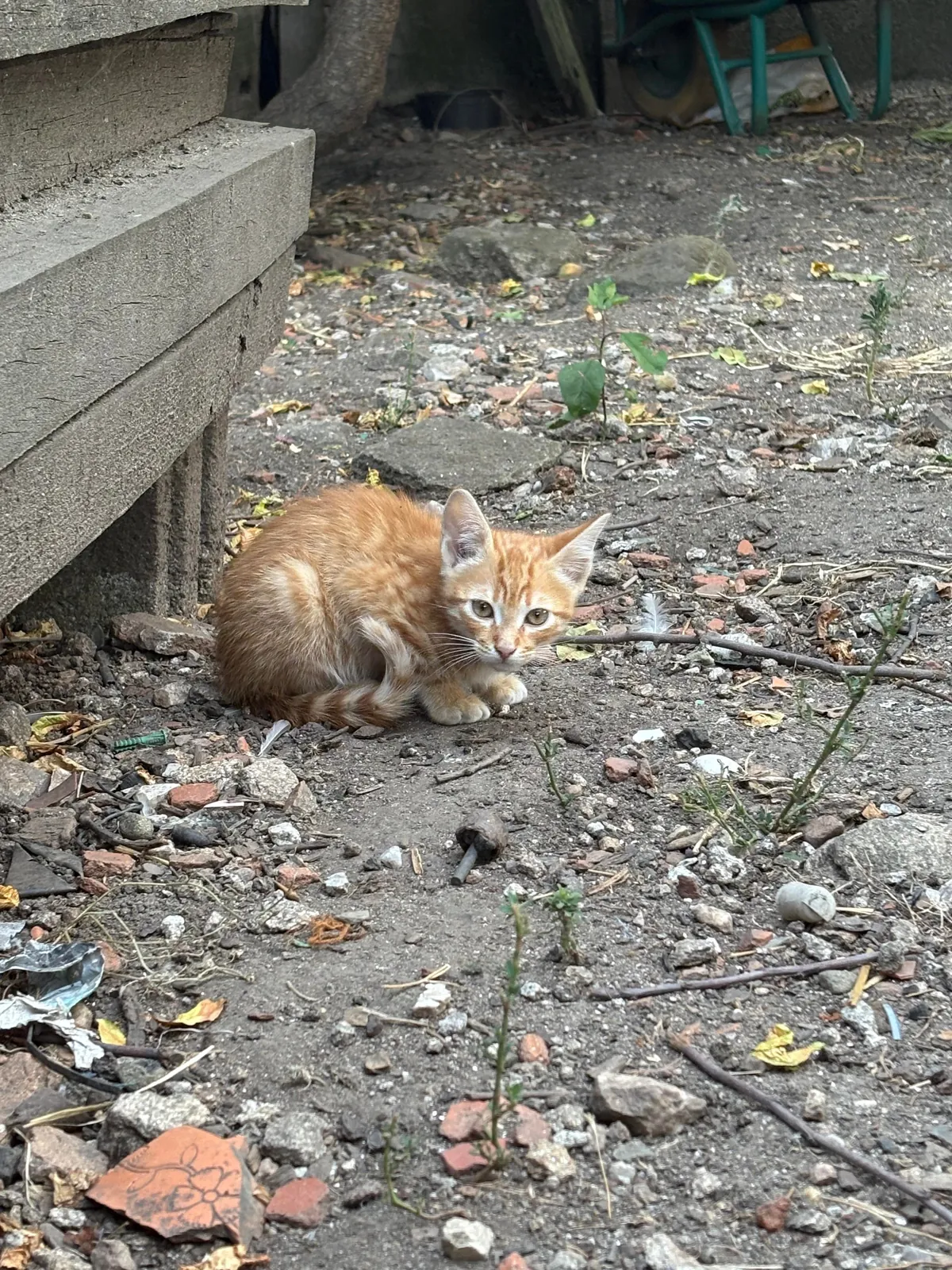 When I found him/ now &lt;3