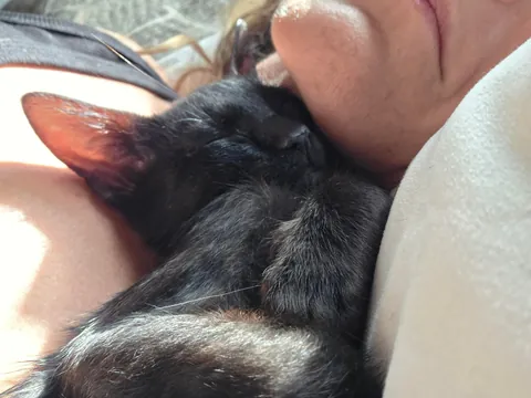 My snuggly baby void